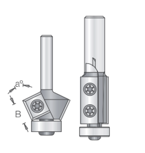 Ar maināmām plāksnītēm